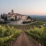 10 domaines viticoles incontournables à visiter en Provence cet été