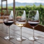 Comment choisir ses verres à vin : formes, matières et gammes de prix pour mieux déguster