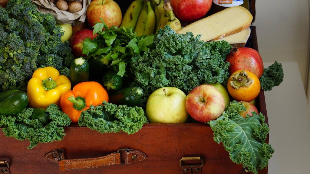 Fruits frais de producteurs locaux à lyon : les meilleures adresses à connaître